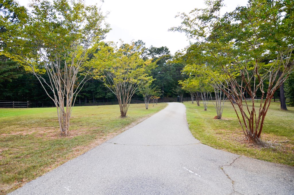 3633 McKee Road Upatoi, GA 31829 - Photo 3 of 32 Gallery Image 3