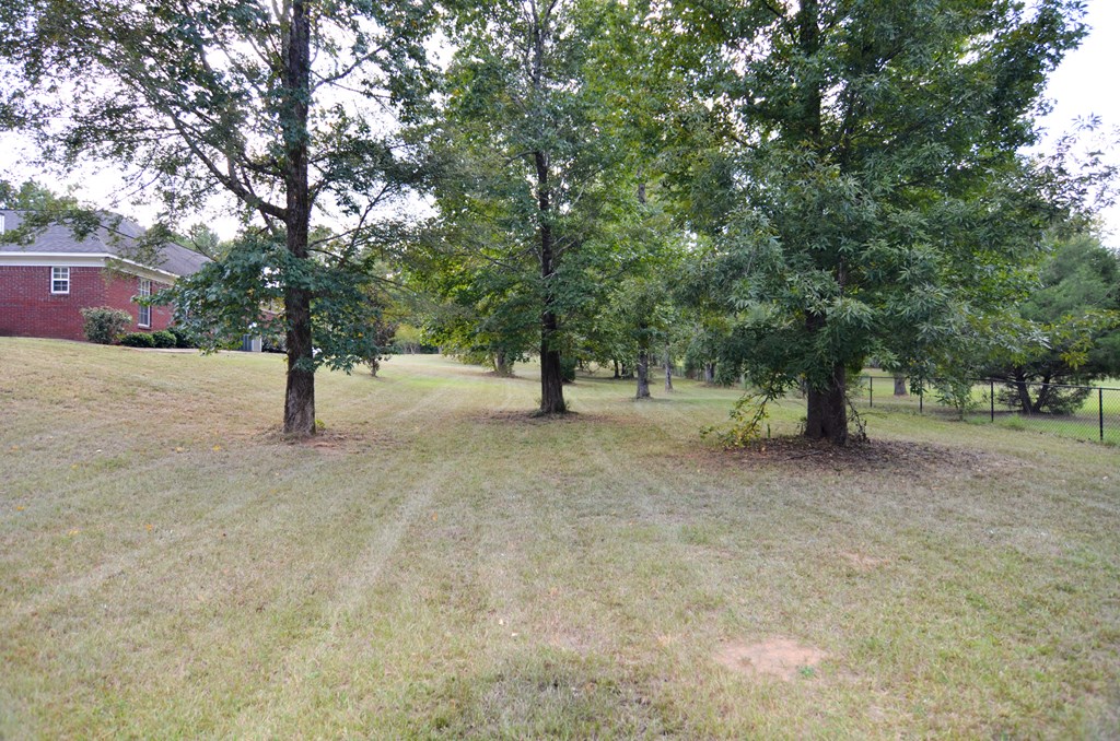 3633 McKee Road Upatoi, GA 31829 - Photo 32 of 32 Gallery Image 32