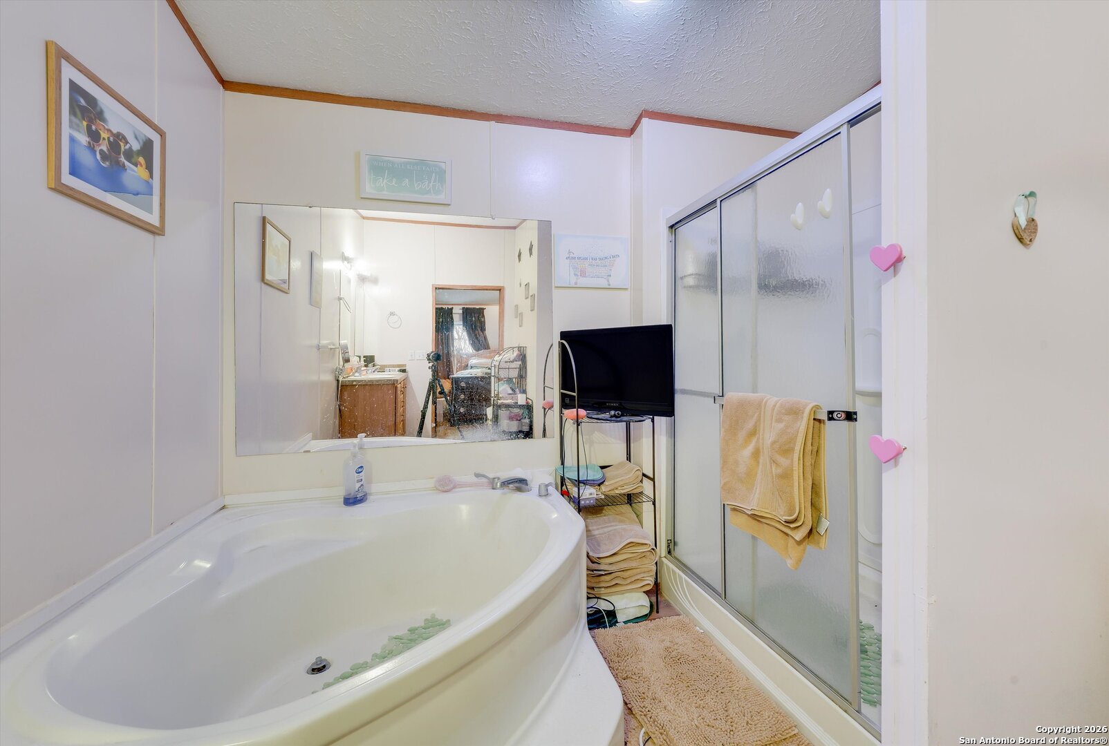 2760 Pioneer Road Seguin, TX 78155 - Photo 23 of 31 a bathroom with a tub and a mirror