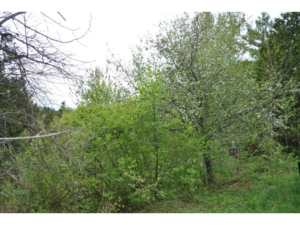1768 Parker Road Glover, VT 05875 - Photo 1 of 11