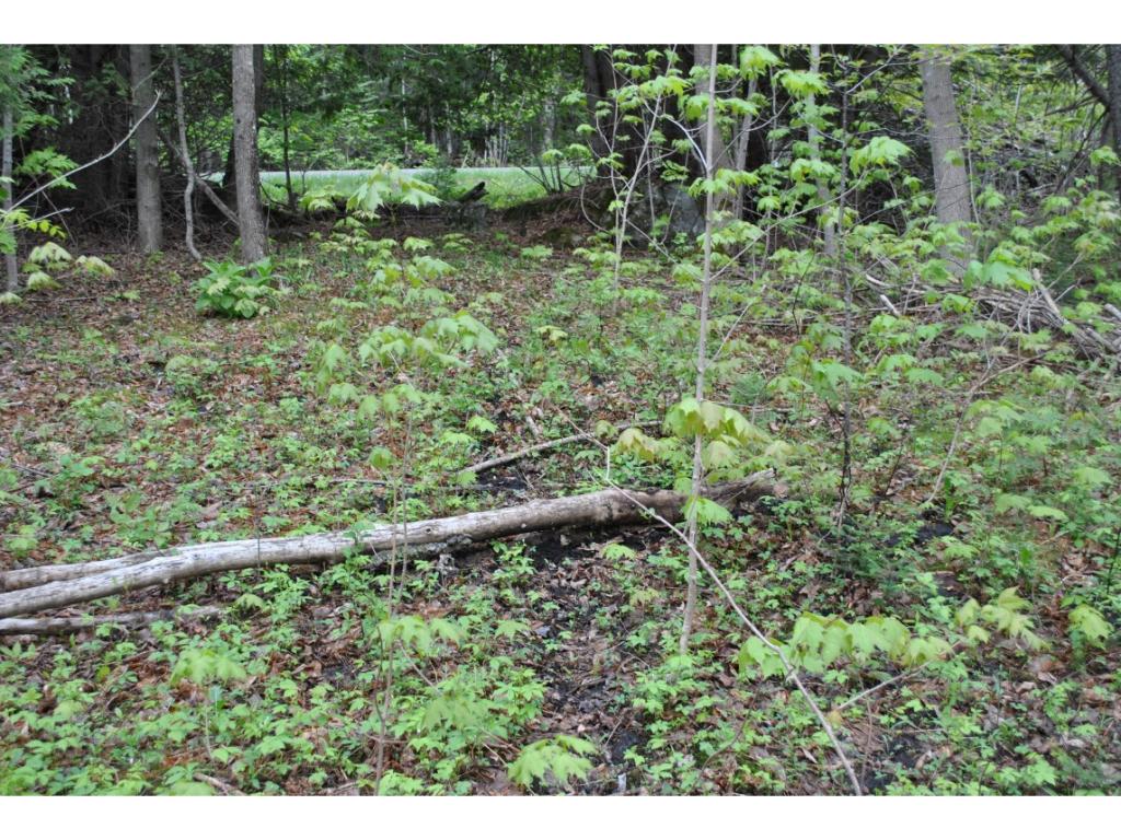 1768 Parker Road Glover, VT 05875 - Photo 11 of 11