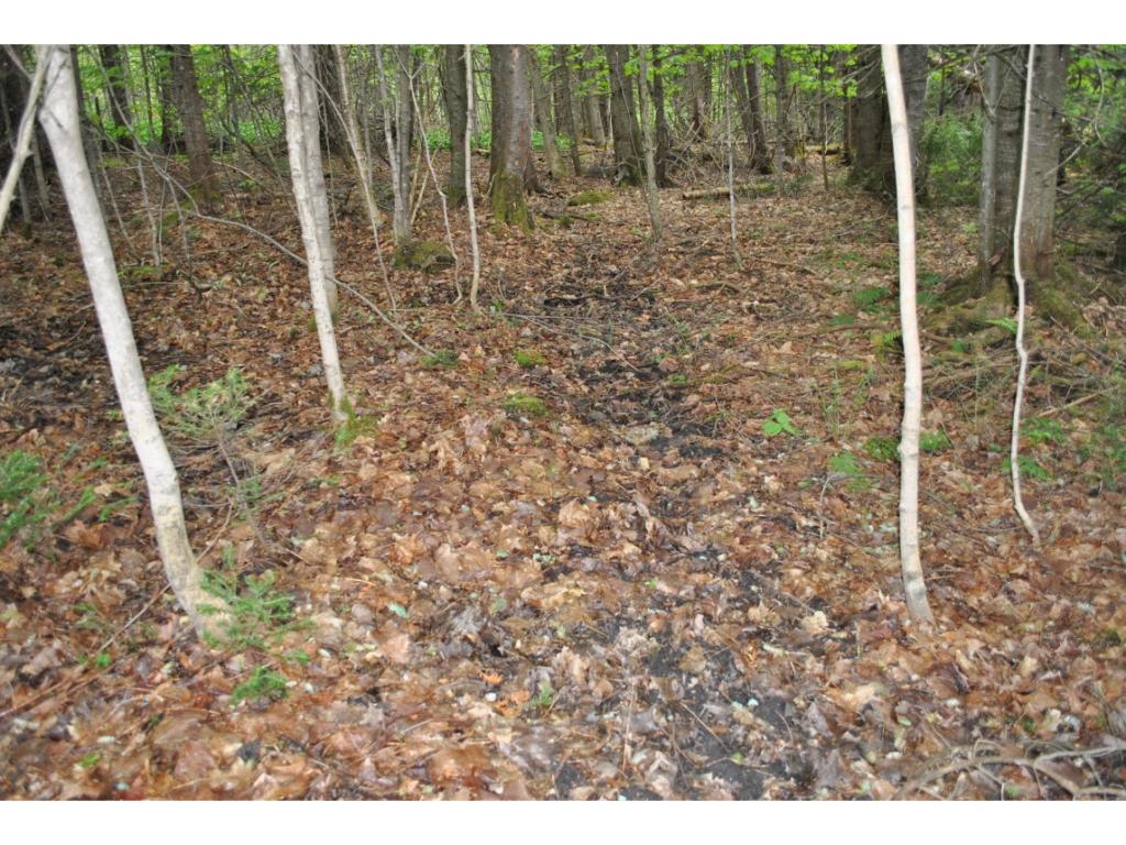 1768 Parker Road Glover, VT 05875 - Photo 4 of 11