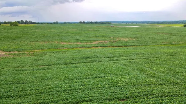 $315,185 | Southeast 60th N/a, Golden City, MO 64748