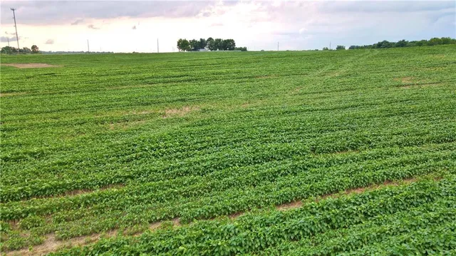 $315,185 | Southeast 60th N/a, Golden City, MO 64748