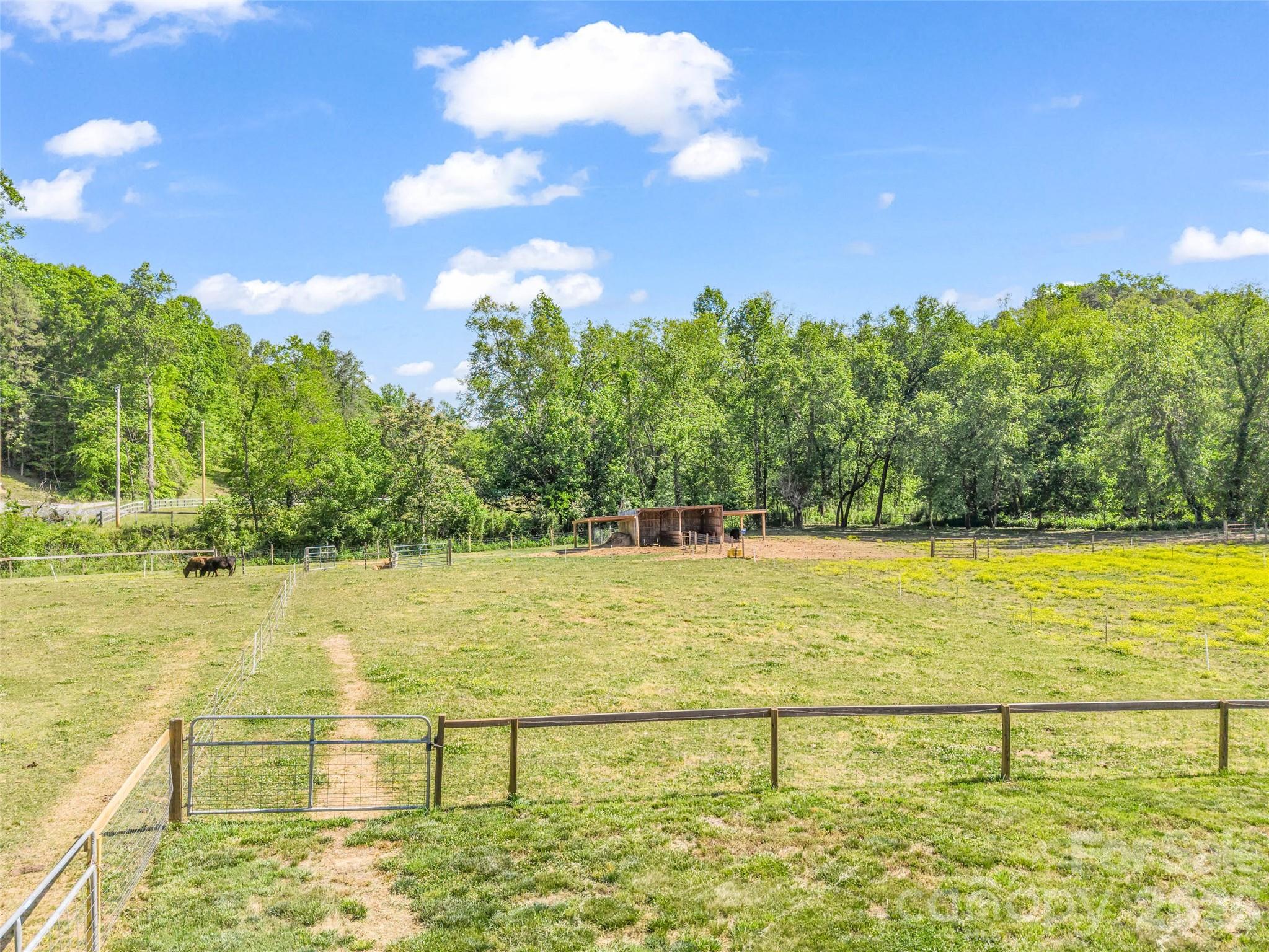 400 Calhoun Trail Rutherfordton, NC 28139 - Photo 37 of 48