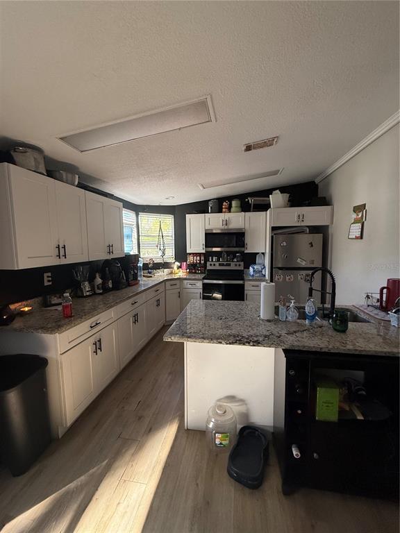 8602 Treasure Island Road Leesburg, FL 34788 - Photo 3 of 7