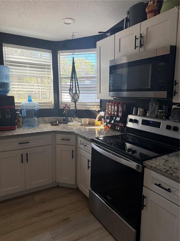 8602 Treasure Island Road Leesburg, FL 34788 - Photo 4 of 7