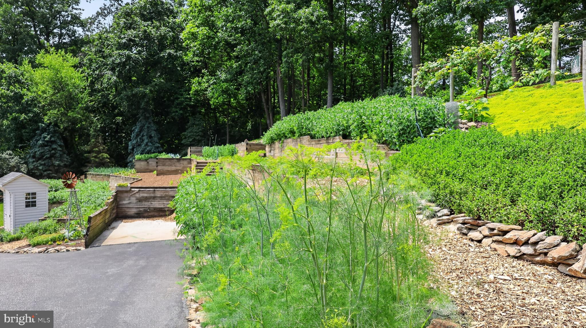257 Hill Road New Holland, PA 17557 - Photo 94 of 94 Lush garden pathways invite exploration.