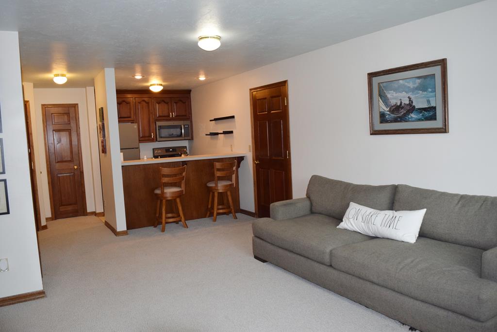 8151 Ridges Road, Unit 205 Baileys Harbor, WI 54202 - Photo 5 of 17