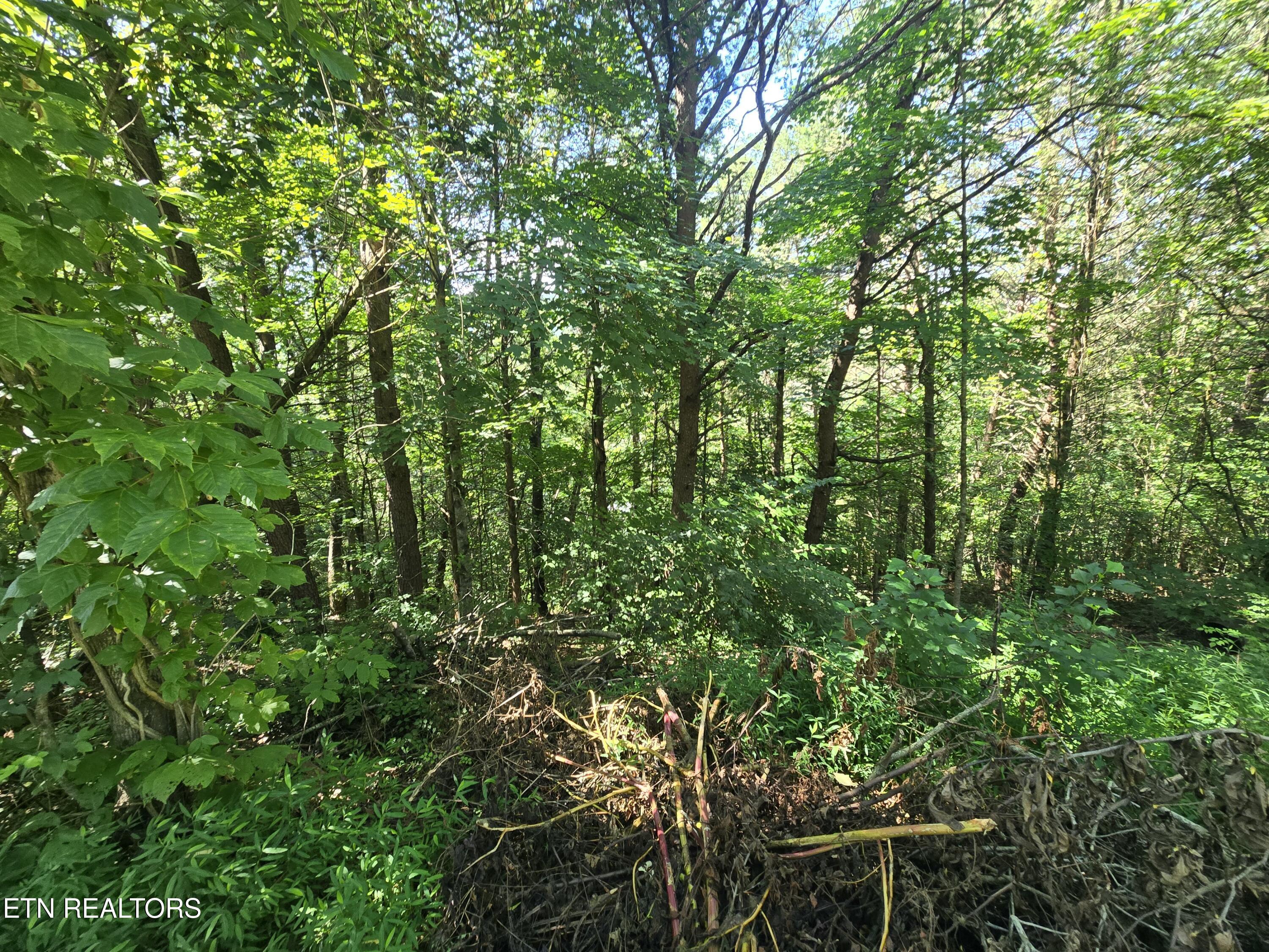 Lot 25 Crestview Court Sevierville, TN 37863 - Photo 5 of 11 20250703_110249