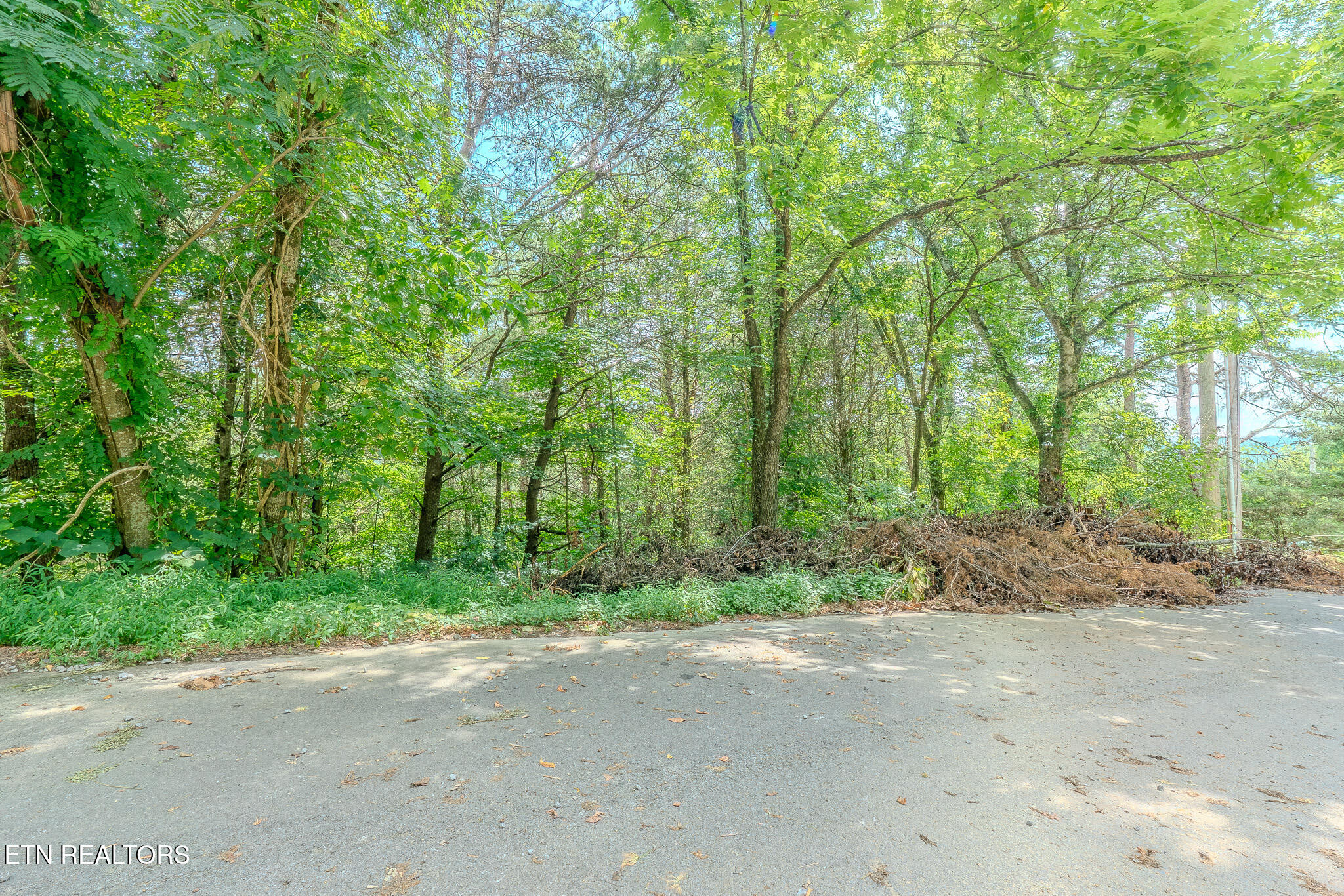 Lot 25 Crestview Court Sevierville, TN 37863 - Photo 6 of 11 _DSC5078-HDR