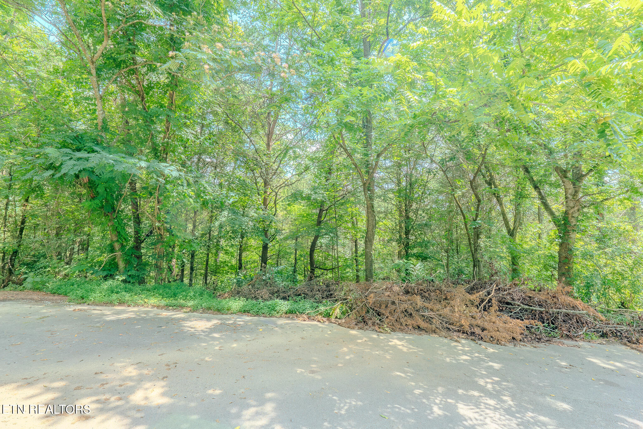 Lot 25 Crestview Court Sevierville, TN 37863 - Photo 7 of 11 _DSC5097-3-HDR