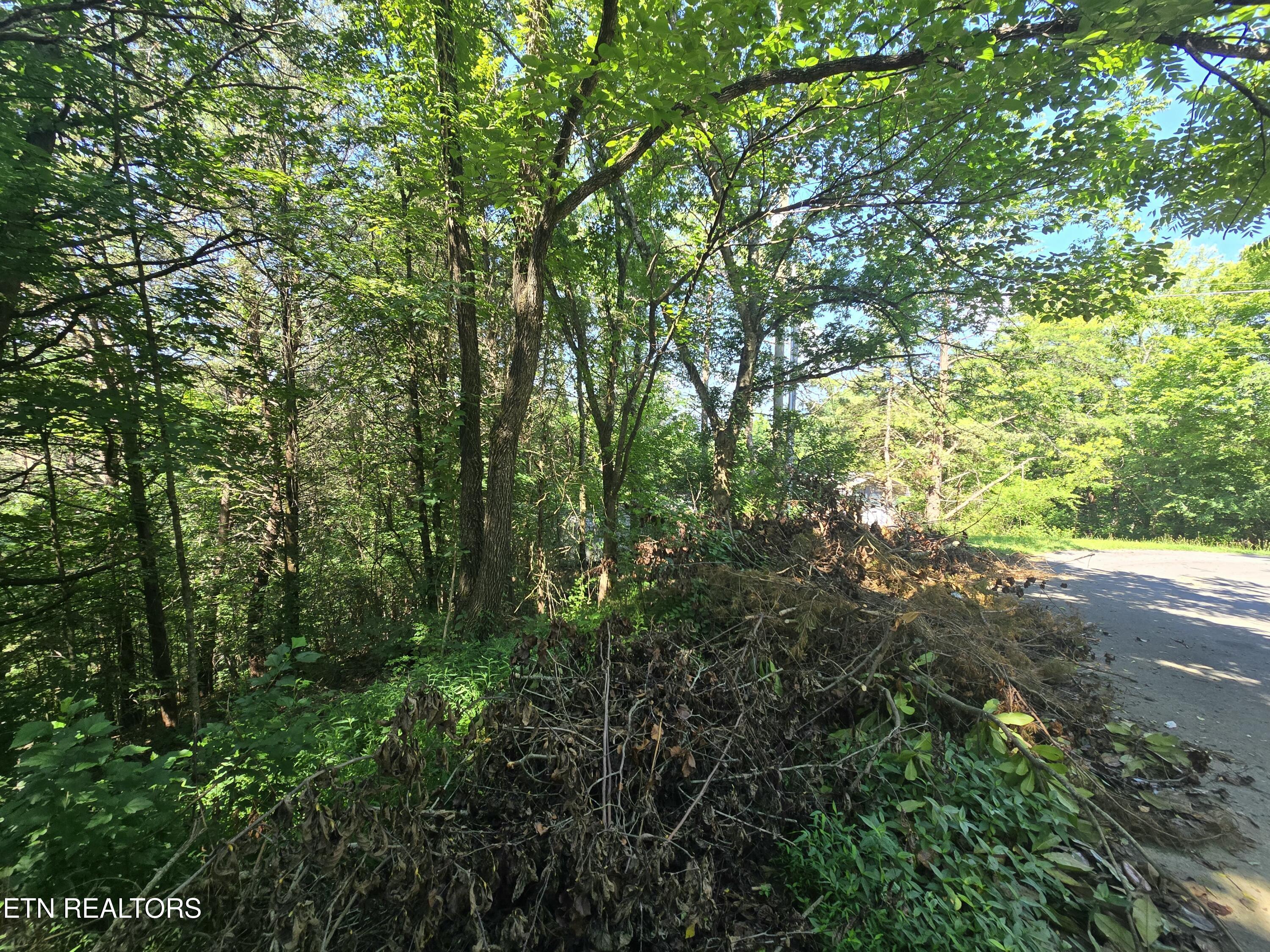 Lot 25 Crestview Court Sevierville, TN 37863 - Photo 8 of 11 20250703_110251
