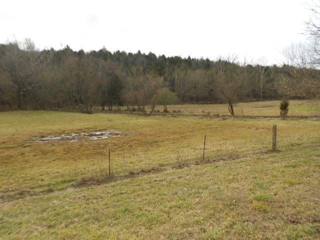 11 West W Highway Rutledge, TN 37861 - Photo 3 of 10 DSCN1257