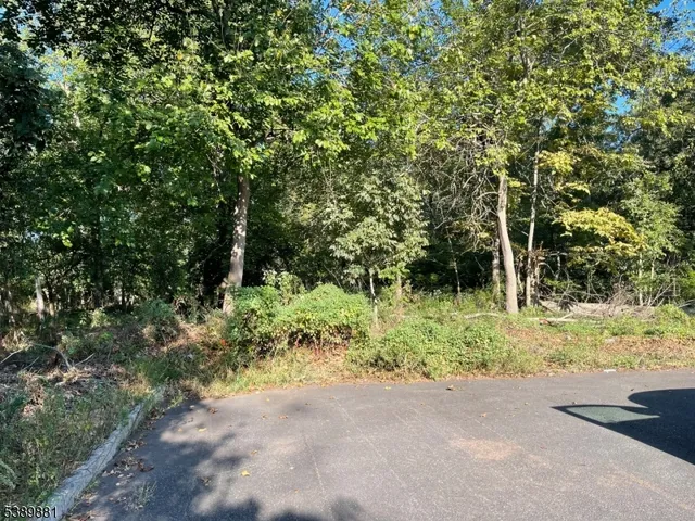 a view of outdoor space and trees