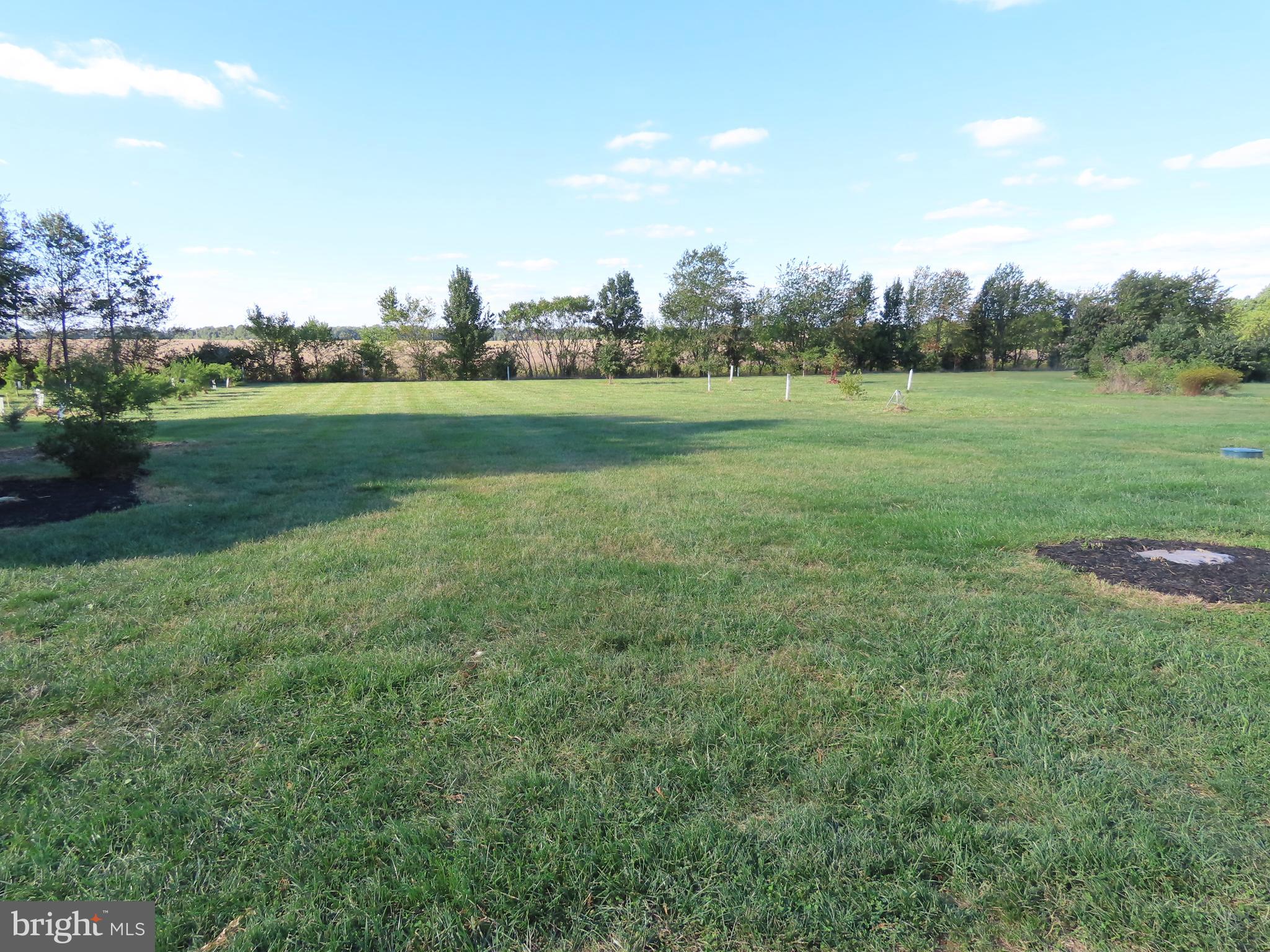 119 Leanne Drive Middletown, DE 19709 - Photo 3 of 27 back yard