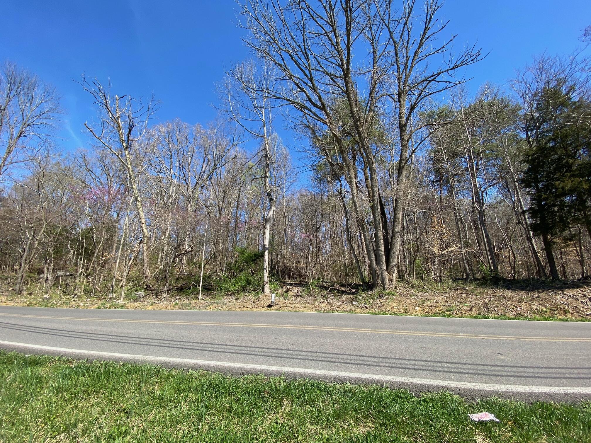Tbd Telford Road Telford, TN 37690 - Photo 5 of 7 image0