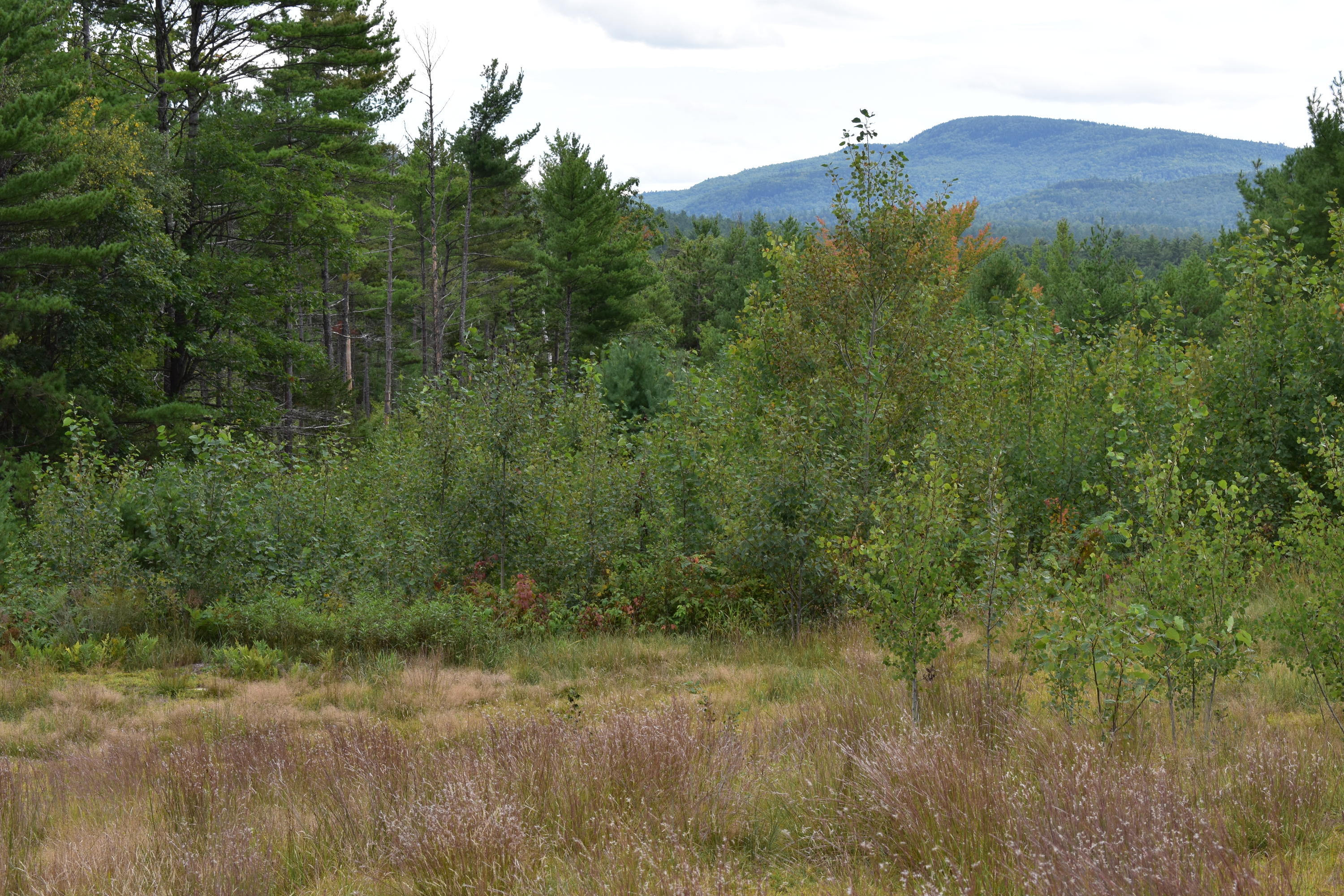 813 Grover Hill Road Bethel, ME 04217 - Photo 32 of 60 DSC_0183_307