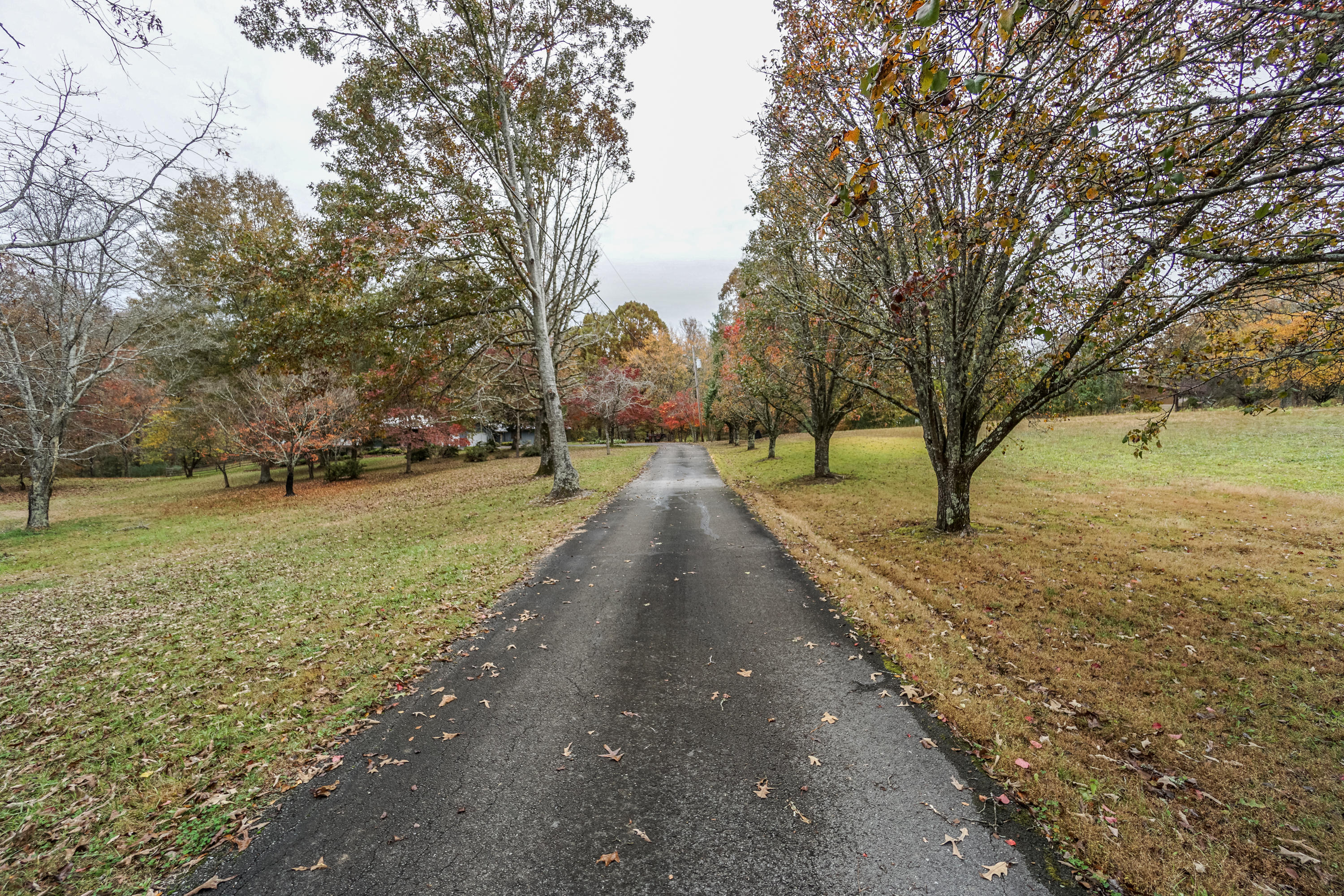 1302 Keys Road Tunnel Hill, GA 30755 - Photo 1 of 64 Driveway