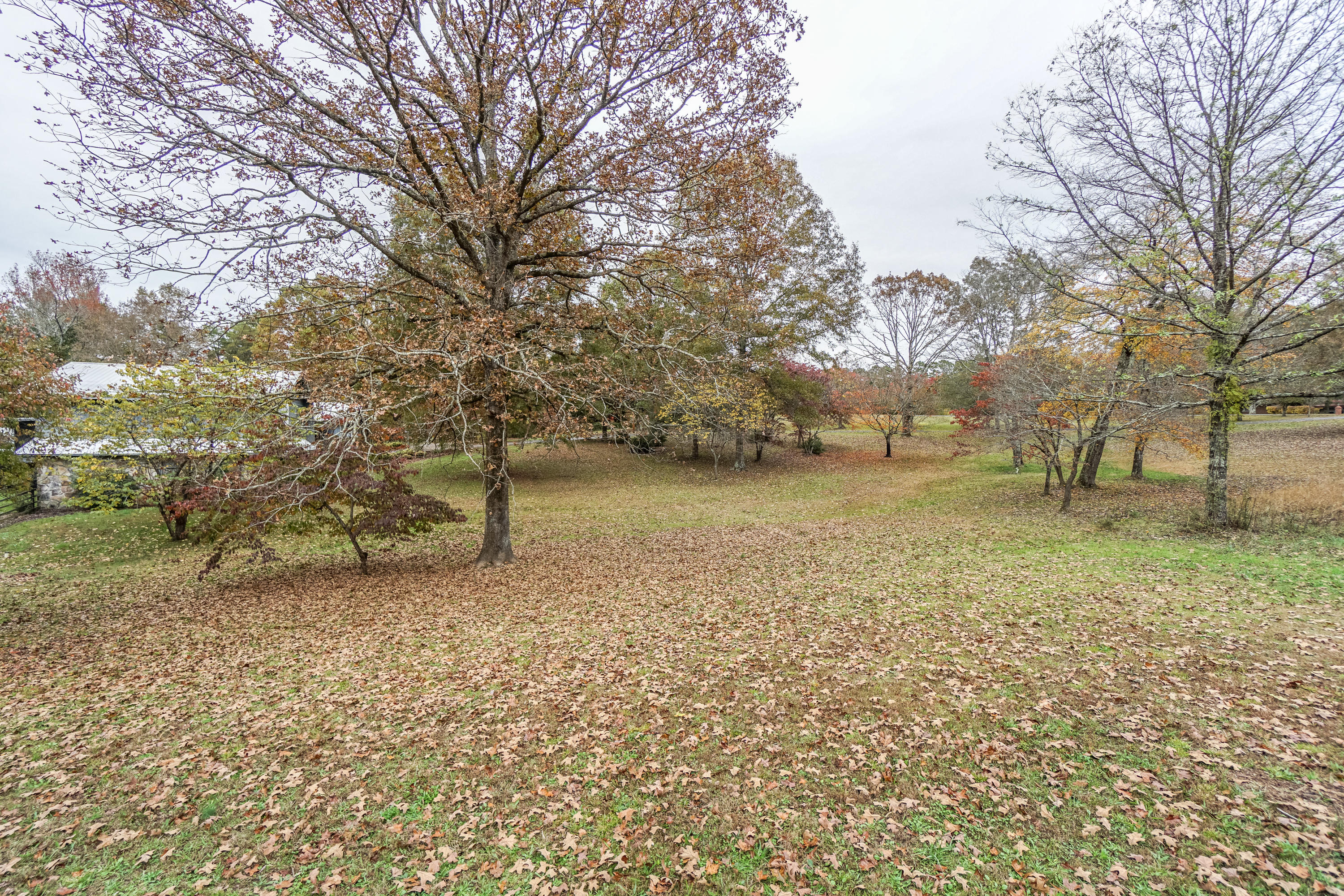 1302 Keys Road Tunnel Hill, GA 30755 - Photo 43 of 64 side property