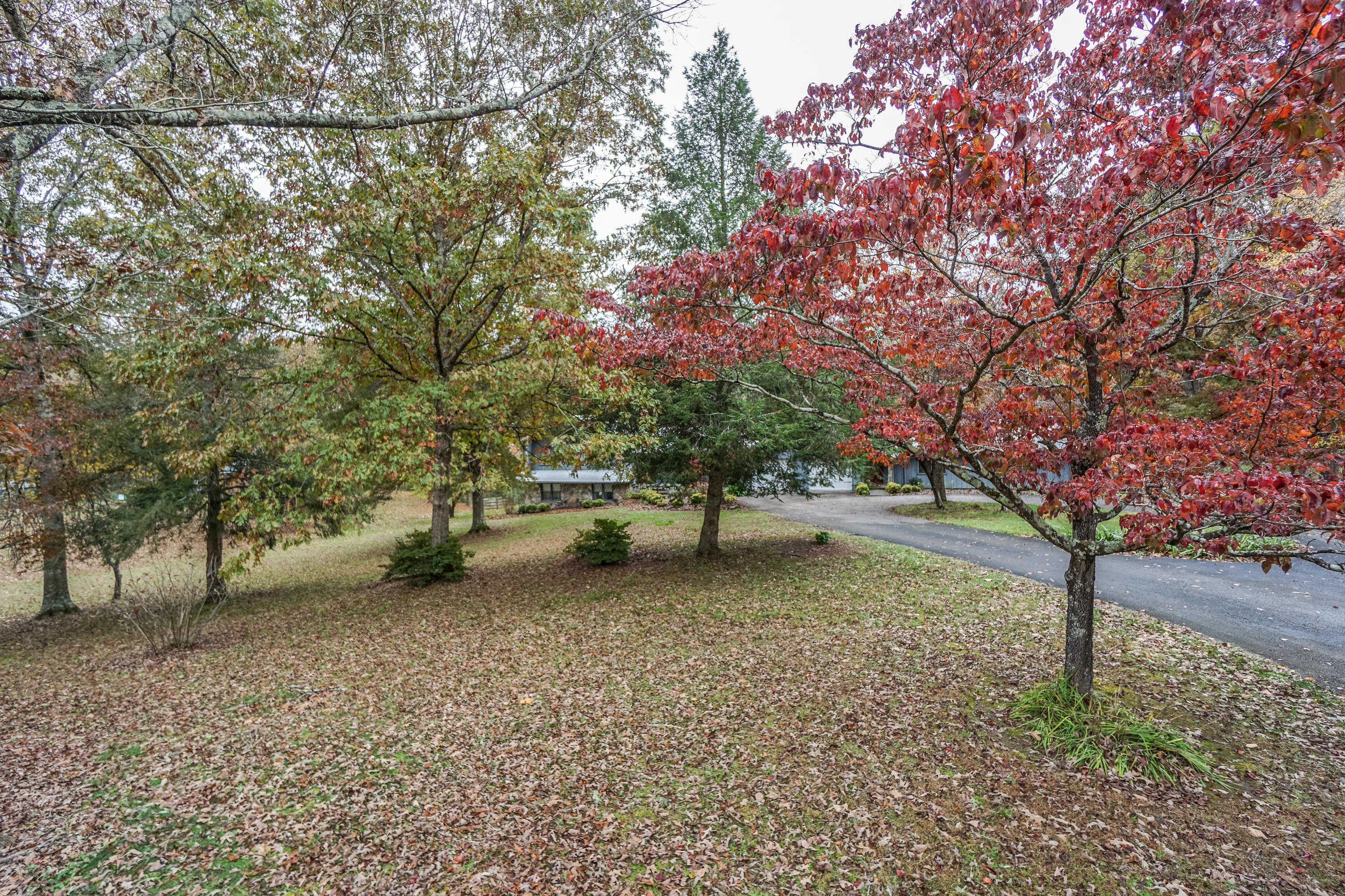 1302 Keys Road Tunnel Hill, GA 30755 - Photo 51 of 64 side yard
