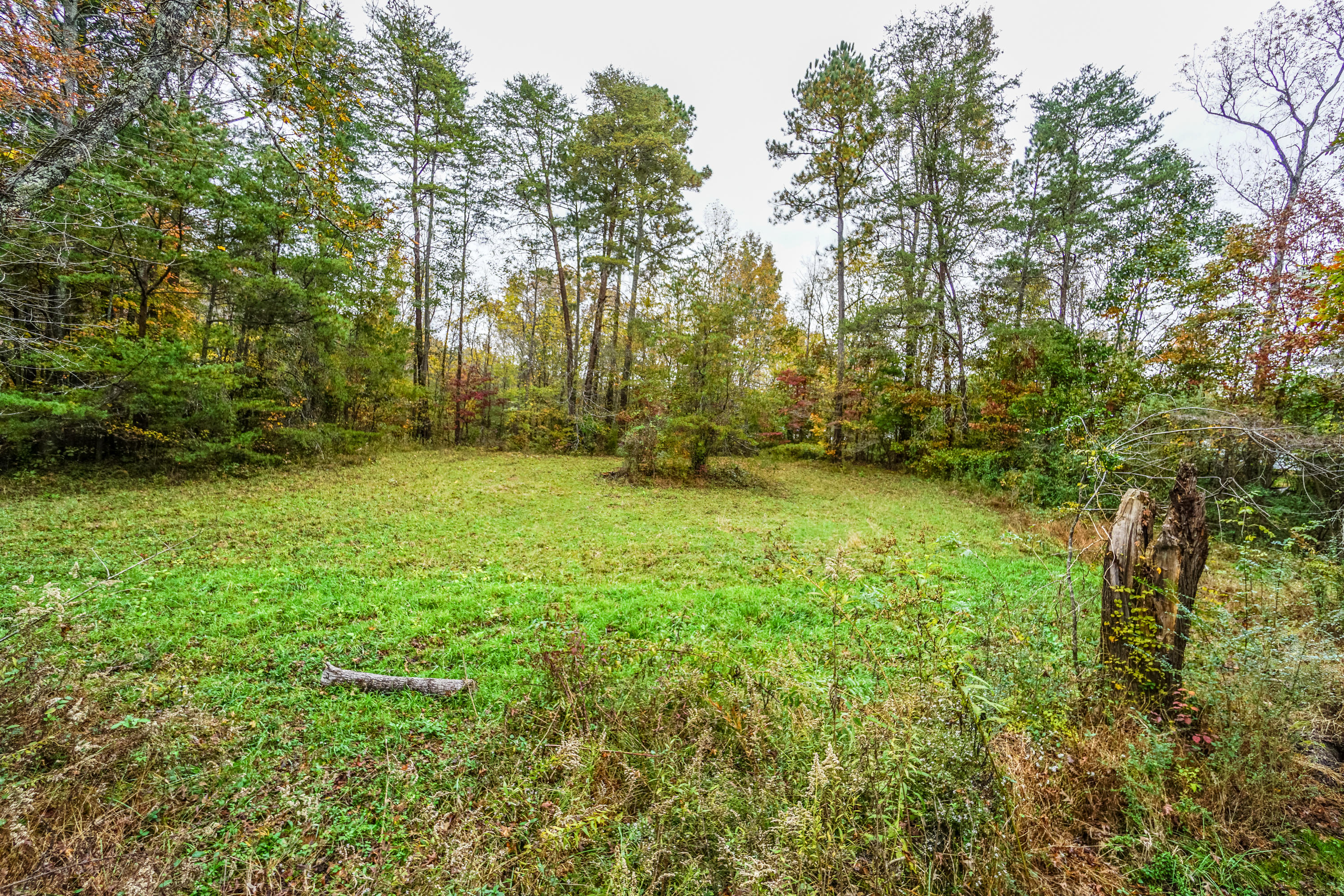 1302 Keys Road Tunnel Hill, GA 30755 - Photo 54 of 64 woods