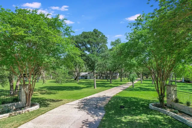 a view of a park with trees and a trees