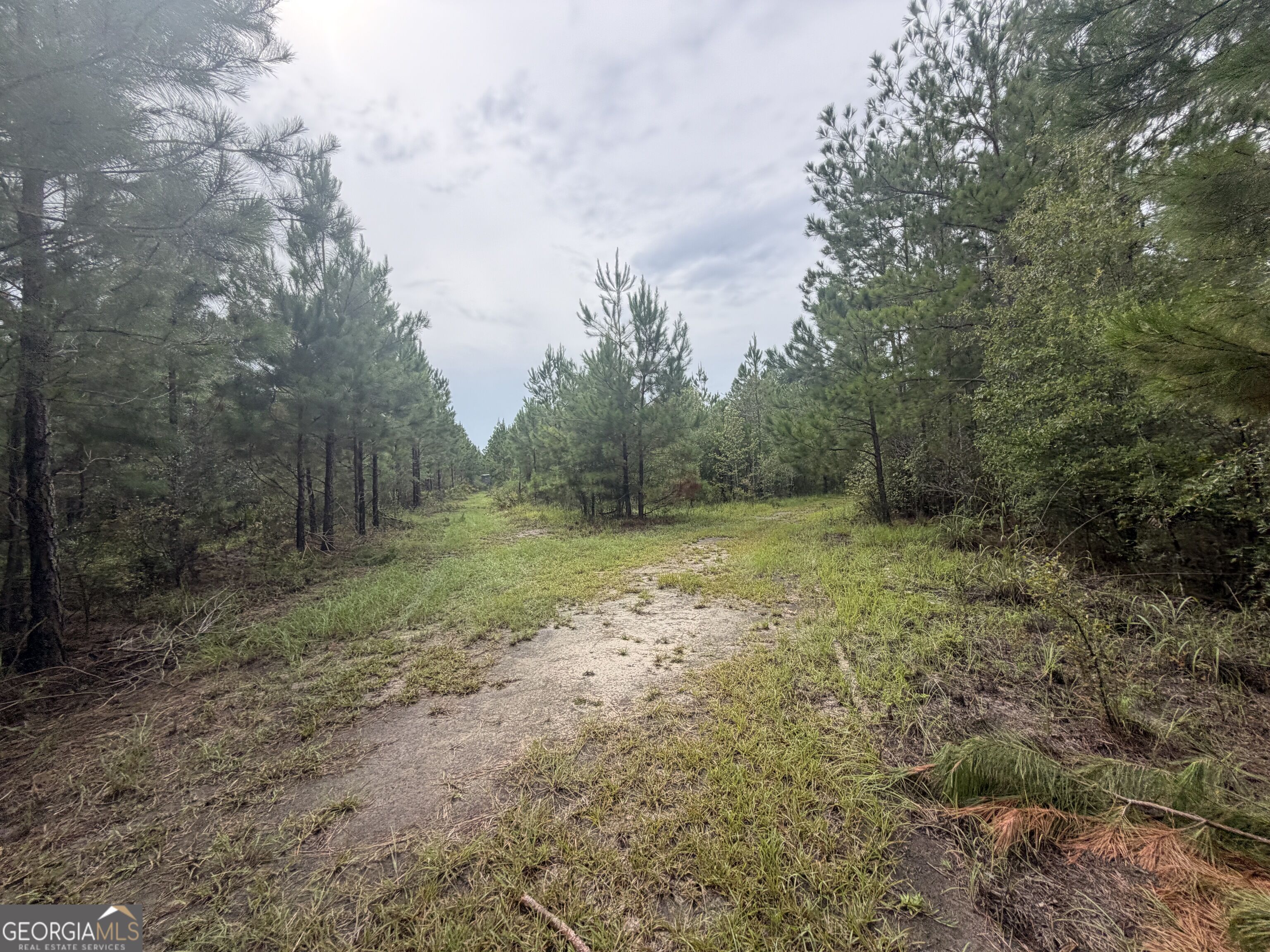 0 Jamestown Road Waycross, GA 31503 - Photo 74 of 92 Gallery Image 74