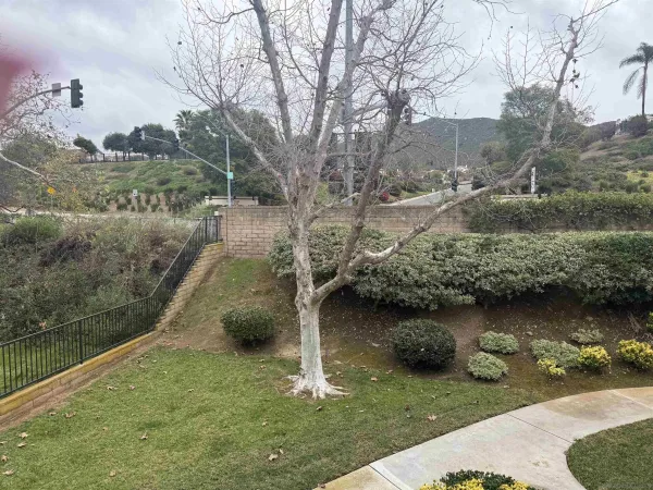 $2,995 | 13294 Wimberly Square, Unit 228, San Diego, CA 92128