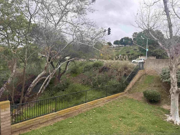 a view of a lake with a yard and large trees