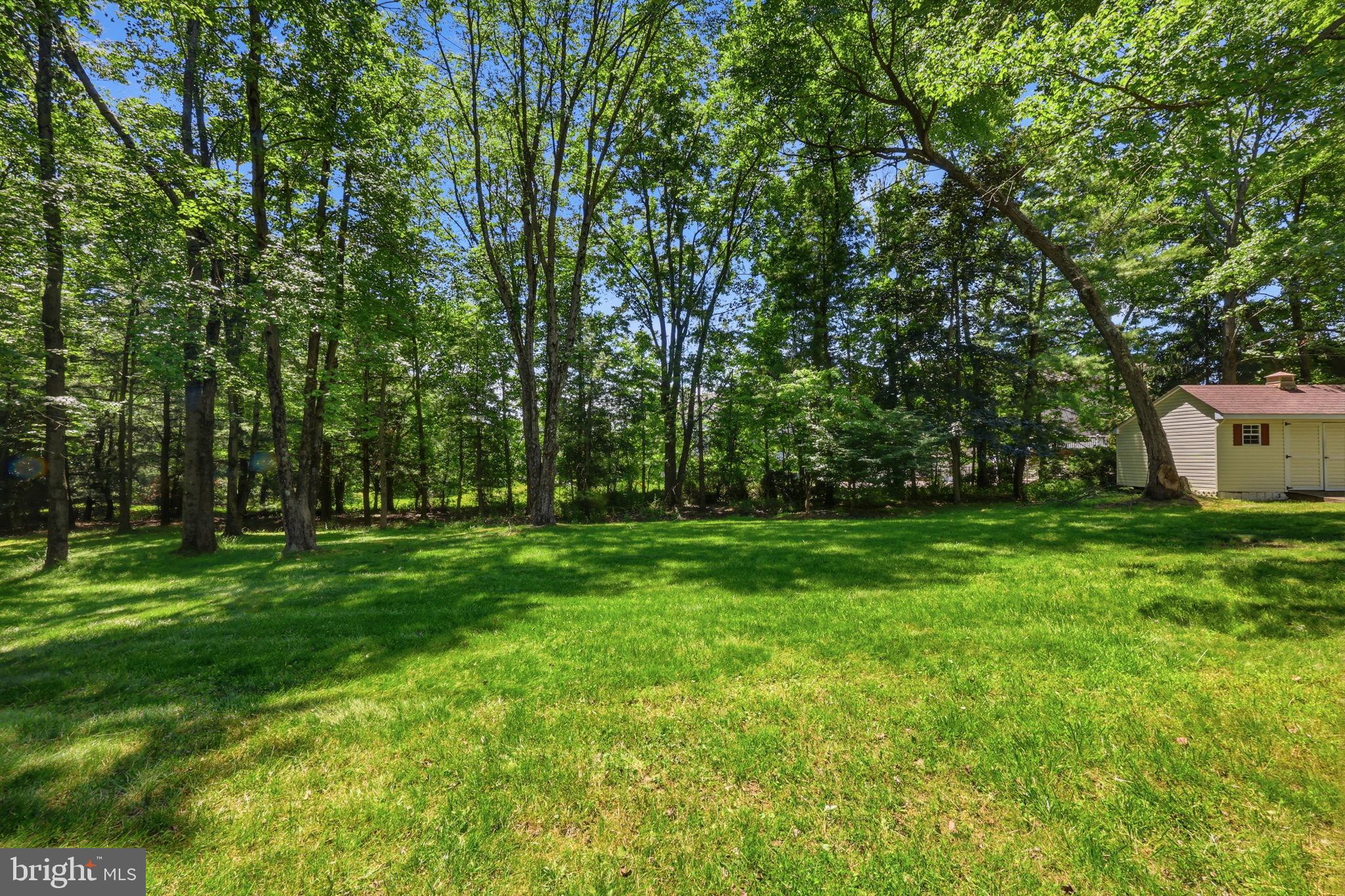 2461 Pine Cone Road Warrington, PA 18976 - Photo 43 of 51 Back yard