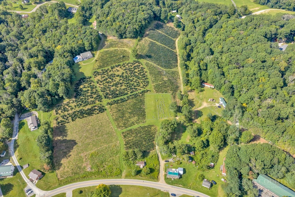 6104 Howard's Creek Road Boone, NC 28607 - Photo 44 of 50 Gallery Image 44