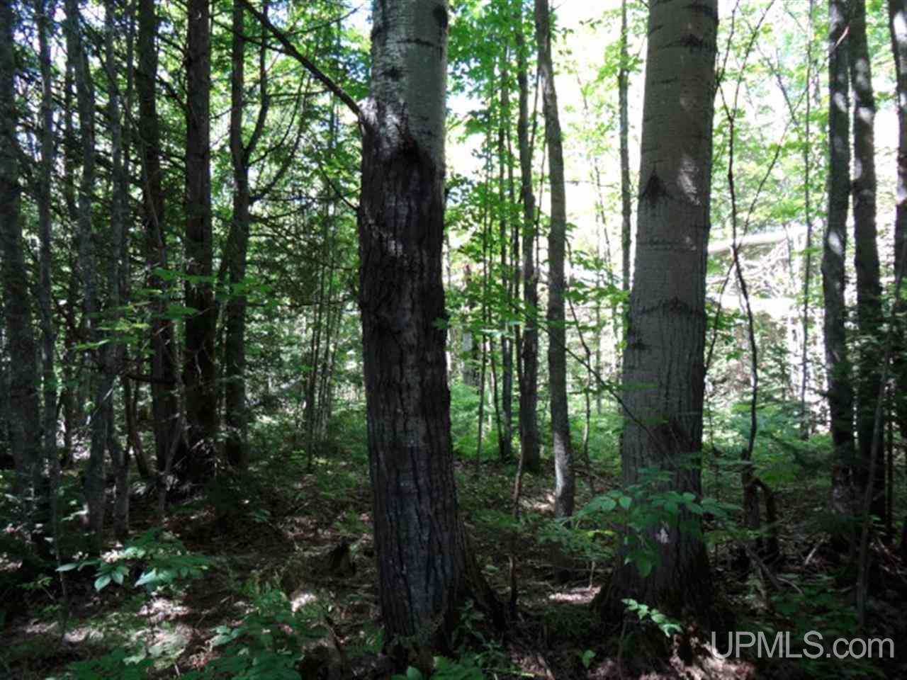 39547 Jaasko Road Toivola, MI 49965 - Photo 15 of 18 Gallery Image 15