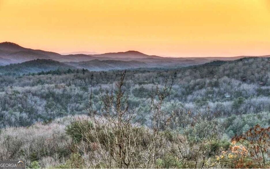 280 Point Of View, Unit 15 Blue Ridge, GA 30513 - Photo 48 of 61 Gallery Image 48