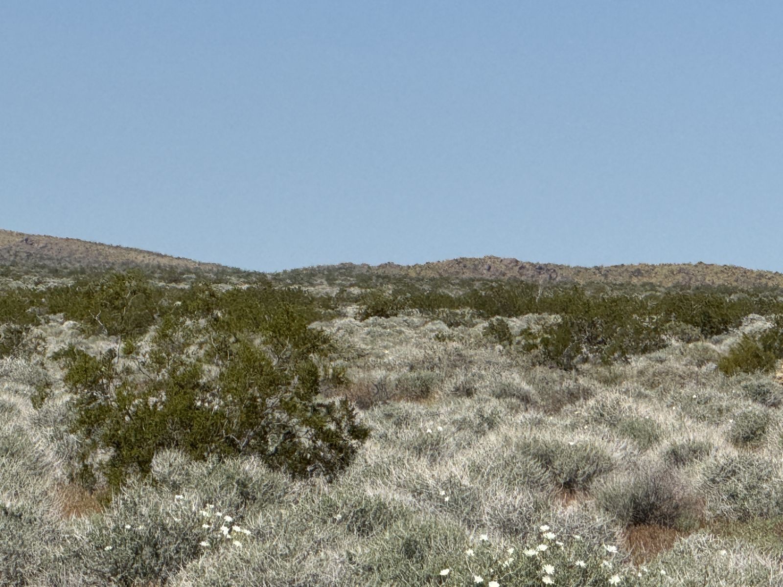 3101 Kings Ranch Road Trona, CA 93562 - Photo 9 of 10