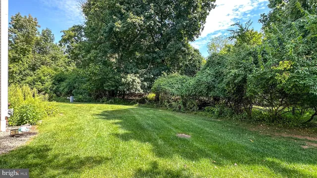 a view of yard with green space