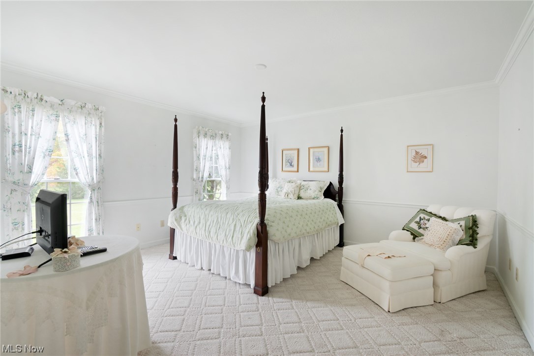 10822 West Calla Road Salem, OH 44460 - Photo 27 of 34 Carpeted bedroom featuring crown molding and multiple windows