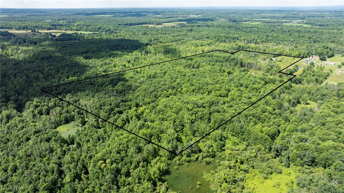 876 Clay Road Jefferson, OH 44047 - Photo 10 of 18 Aerial overview of property's location with property parcel outlined