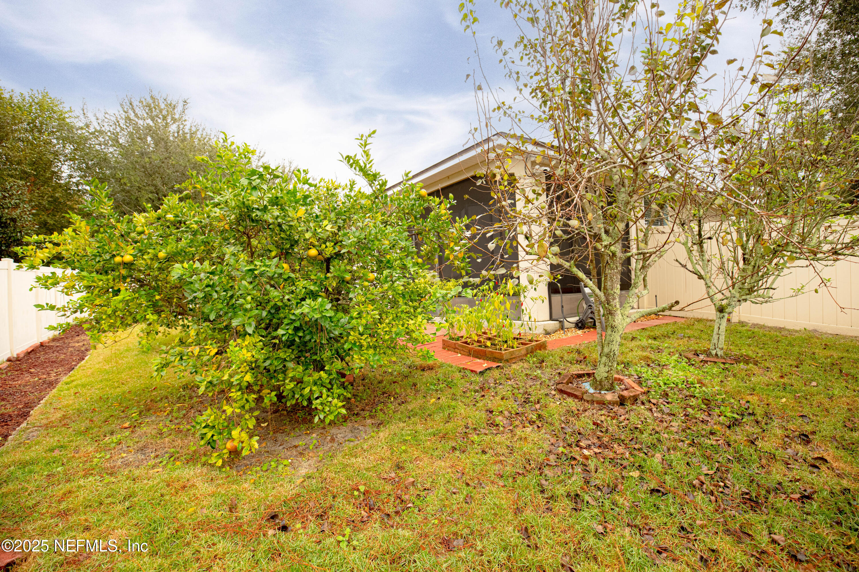 211 Amber Ridge Road Jacksonville, FL 32218 - Photo 25 of 39 Backyard