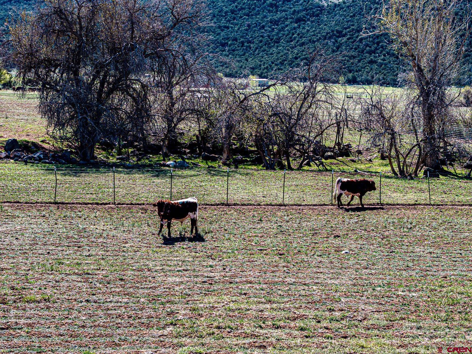 Lot 2 Surface Creek Road Cedaredge, CO 81413 - Photo 15 of 15 a view of a bench in a park