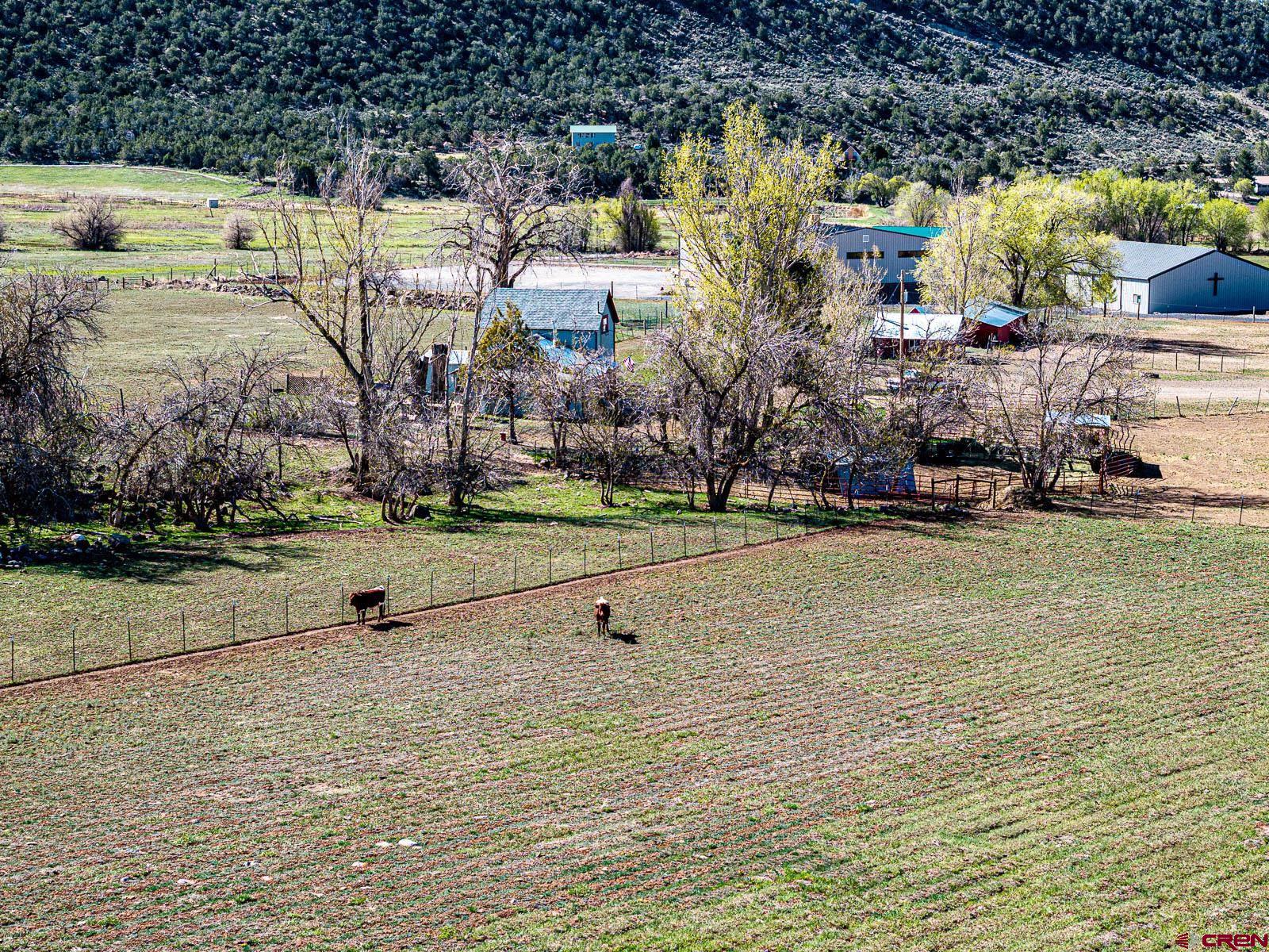 Lot 2 Surface Creek Road Cedaredge, CO 81413 - Photo 7 of 15 a view of outdoor space with garden