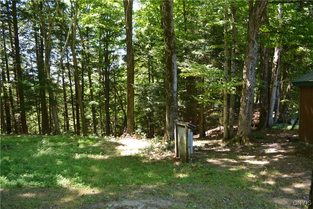 10020 Powell Road Trenton, NY 13354 - Photo 16 of 47