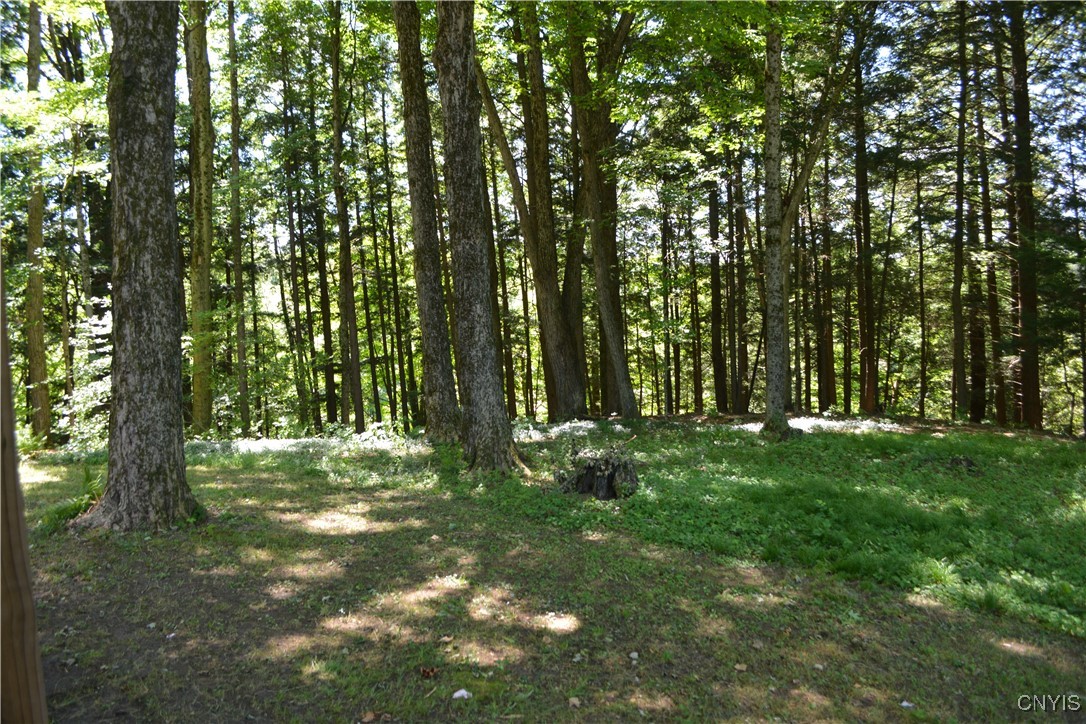 10020 Powell Road Trenton, NY 13354 - Photo 17 of 47