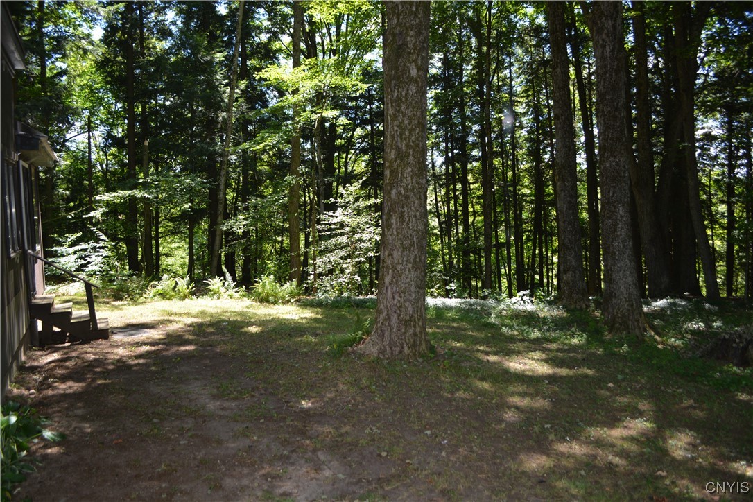 10020 Powell Road Trenton, NY 13354 - Photo 18 of 47