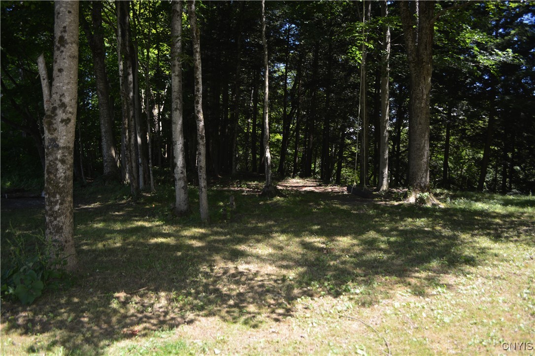 10020 Powell Road Trenton, NY 13354 - Photo 20 of 47