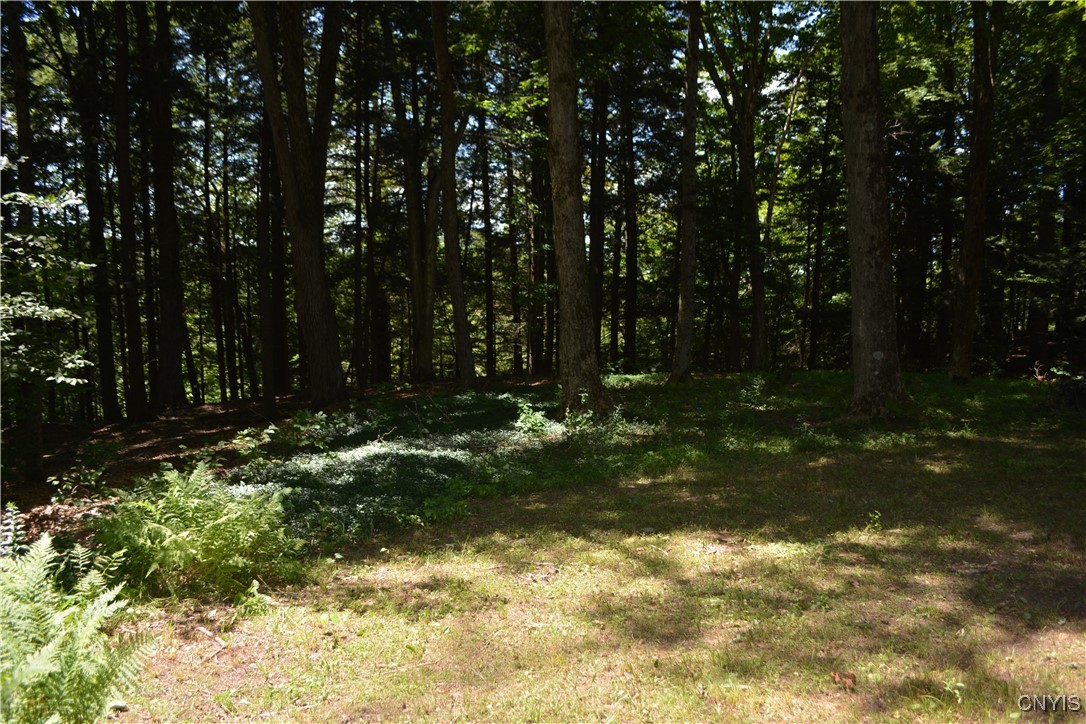 10020 Powell Road Trenton, NY 13354 - Photo 22 of 47