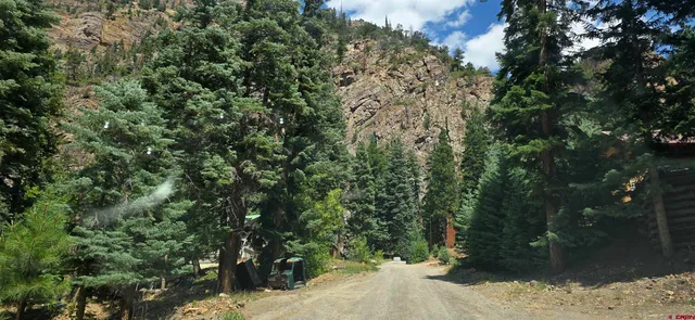 a view of a forest covered with trees