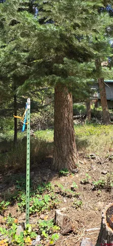 a backyard of a house