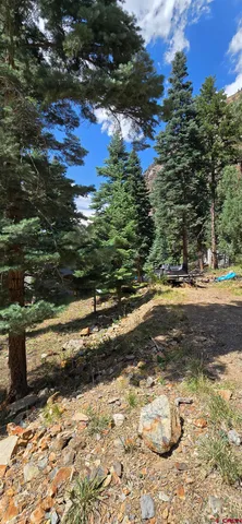 a view of a yard with an trees