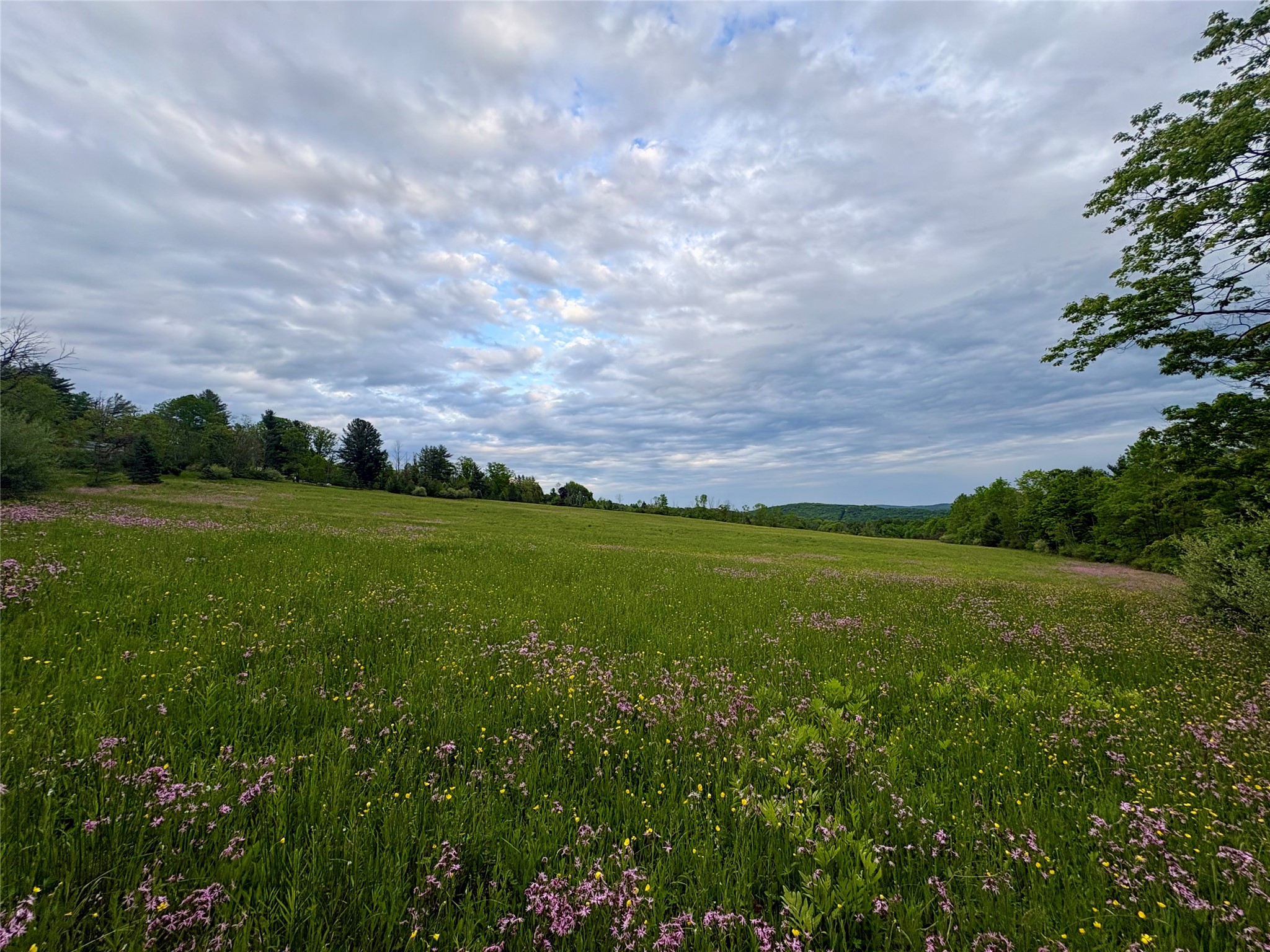 650 Powers Road Conklin, NY 13748 - Photo 28 of 28